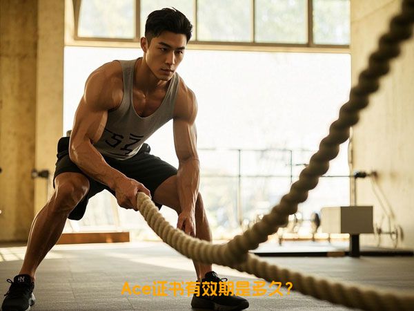 Ace证书有效期是多久？
